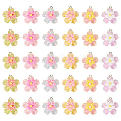 30шт 6 цвета прозрачные подвески из смолы&nbsp;RESI-TA0004-74