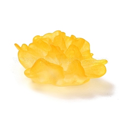 Прозрачные смолы кабошоны&nbsp;LS-RESI-G027-01C