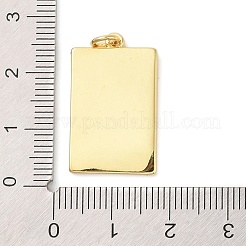 Подвески из латуни с эмалью в стойку&nbsp;KK-P261-05C-G