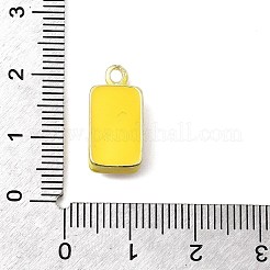 Подвески из сплава и эмали на пищевую тематику&nbsp;FIND-C075-10D-G