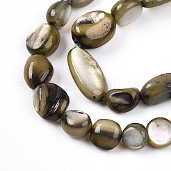 Нити бусин из натуральной белой ракушки&nbsp;SHEL-N036-21