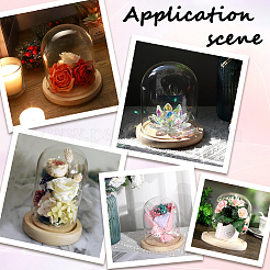 Стеклянный купол&nbsp;AJEW-SC0001-61A