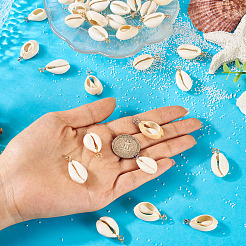 60 шт. подвески из натуральной ракушки каури 2 цветов&nbsp;PALLOY-TA00305