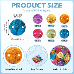 60 шт. 6-цветные коннекторные подвески из натуральной ракушки Акойя&nbsp;BSHE-TA0001-18
