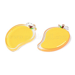 Полупрозрачные акриловые подвески&nbsp;TACR-N013-013