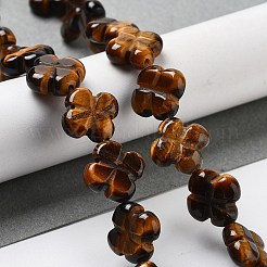 Природных тигровый глаз бисер нитей&nbsp;G-P520-A09-01