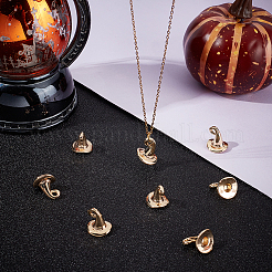 10 шт. латунные подвески на тему Хэллоуина&nbsp;KK-BBC0015-68A