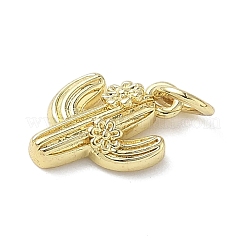 Латунные подвески&nbsp;LS-KK-L248-13G