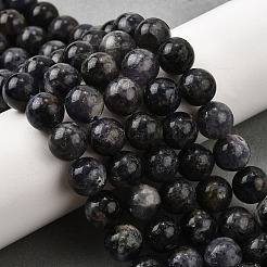 Природные иолит нитей бисера&nbsp;G-E561-16-10mm