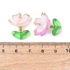 Прозрачные акриловые подвески&nbsp;PALLOY-MZ00823-04