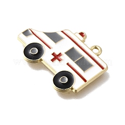 Подвески из сплава с эмалью медицинской тематики&nbsp;FIND-G090-02G-01