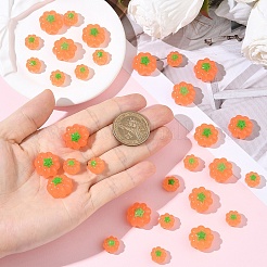 Кабошоны из смолы&nbsp;RESI-YW0005-55