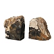 Декоративные подставки для книг из натурального окаменелого дерева&nbsp;AJEW-H157-11-3