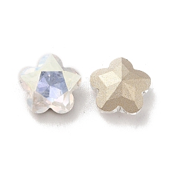 K9 стеклянные каноши&nbsp;RGLA-G017-02B-001TR