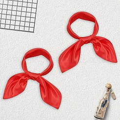 6шт. съемный атласный женский шарф&nbsp;AJEW-CN0004-92B