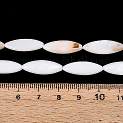 Нити бусин из натуральных пресноводных ракушек PBB220Y-1-01