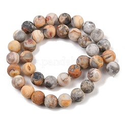 Натуральные сумасшедшие кружевные агатовые бусины&nbsp;G-Q462-10mm-12