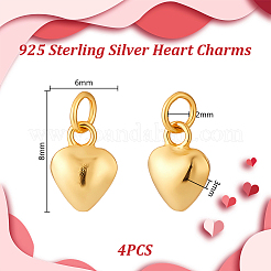 4 шт. 925 подвески из стерлингового серебра&nbsp;STER-GA0001-29