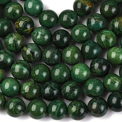 Природные африканские нефритовые бусы пряди&nbsp;G-K091-10mm