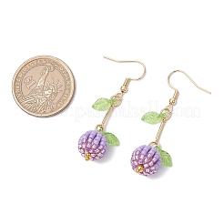 Серьги-подвески из нержавеющей стали 304 с фруктами и семенами&nbsp;EJEW-MZ00459