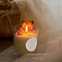 Стикеры этикеток мелованной бумаги&nbsp;DIY-PH0013-13