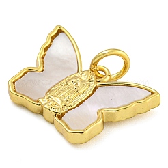 Латунные подвески с ракушками и соединительными кольцами&nbsp;KK-D534-01G