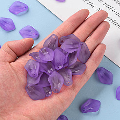 Прозрачные матовые акриловые подвески MACR-S371-03A-747