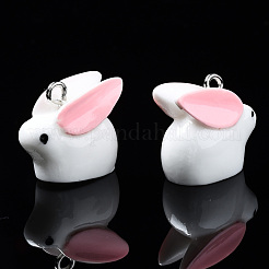 Подвески из непрозрачной смолы&nbsp;X-RESI-S356-069