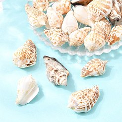 Натуральные раковины бисера&nbsp;BSHE-O007-57