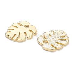 Латунь эмаль подвески&nbsp;KK-A153-07G-C