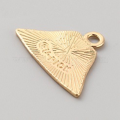 Подвески из эмали и сплава&nbsp;FIND-WH0110-508