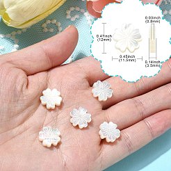 5шт натуральные белые бусины из ракушек&nbsp;BSHE-CJ0001-11