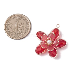 Стеклянные подвески&nbsp;PALLOY-TA00319-02