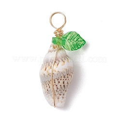 Подвески из натуральной морской ракушки&nbsp;PALLOY-JF03610-03