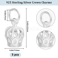 5 шт. 925 подвески из стерлингового серебра&nbsp;STER-BBC0002-19