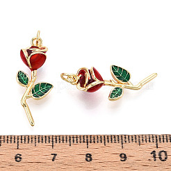 Латунь эмаль подвески&nbsp;KK-N265-04G