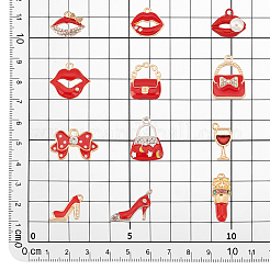 24шт 12 стиля подвески из сплава с эмалью&nbsp;FIND-PH0010-76