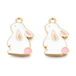 Подвески из сплава &nbsp;X-ENAM-S119-047