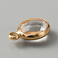 Граненые подвески стекла&nbsp;LS-KK-WH0046-59G-04