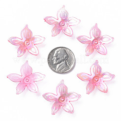 Прозрачные акриловые бусины MACR-S373-102-C