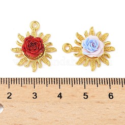 Подвески сплава cmолы&nbsp;PALLOY-S056-01G