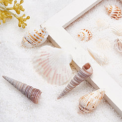 Бусины из натуральных раковин морского гребешка&nbsp;SSHEL-CJ0001-02