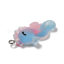 Подвески из непрозрачной смолы&nbsp;RESI-D055-093P