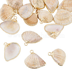 15 шт. Подвески из натуральных ракушек&nbsp;BSHE-TA0001-26