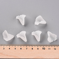 Прозрачные колпачки акриловая бисера PL551