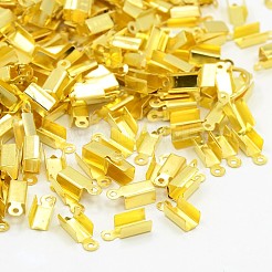 Железо складной обжима концов&nbsp;IFIN-ZX999-G