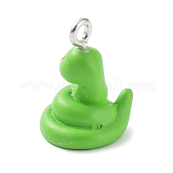 Подвески из непрозрачной смолы&nbsp;X-RESI-Z014-01G