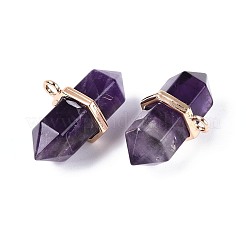 Подвески с двойным наконечником из натурального аметиста&nbsp;G-N345-09D