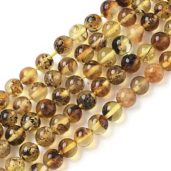 Янтарные шарики нити&nbsp;G-L095-B01-5mm-03