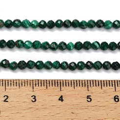 Природного малахита бисер нитей&nbsp;G-C262-A02-3mm